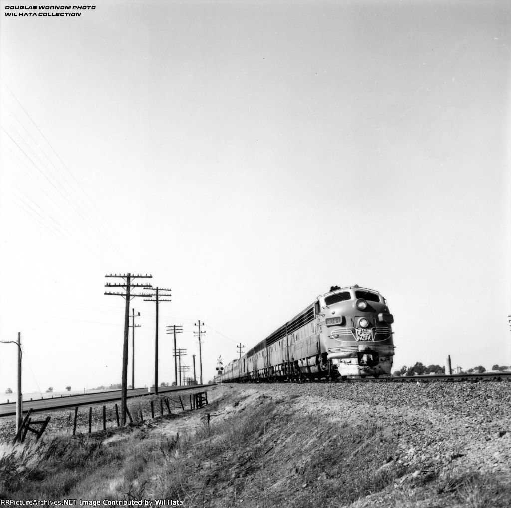 Wayward Zephyr